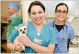 5 melhores escolas de veterinária no Canadá